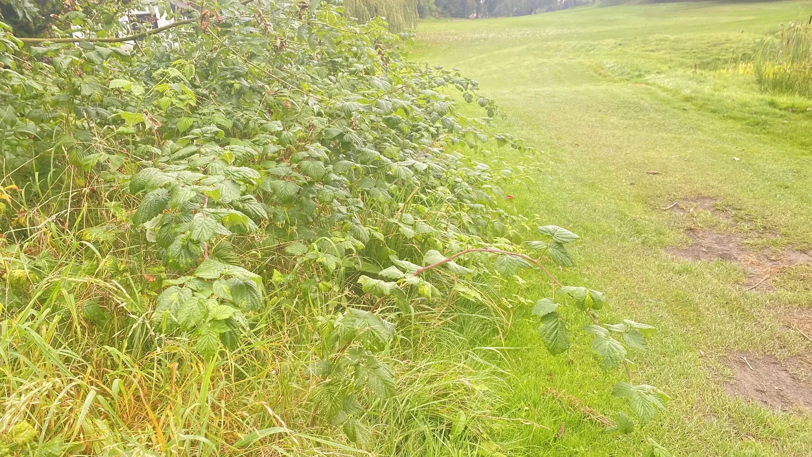 Prestwich Golf Club - Image 3