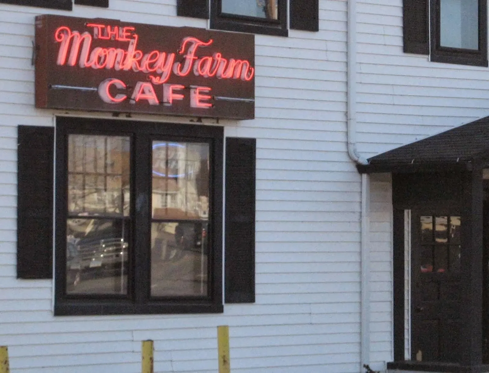 Monkey Farm - Image 4