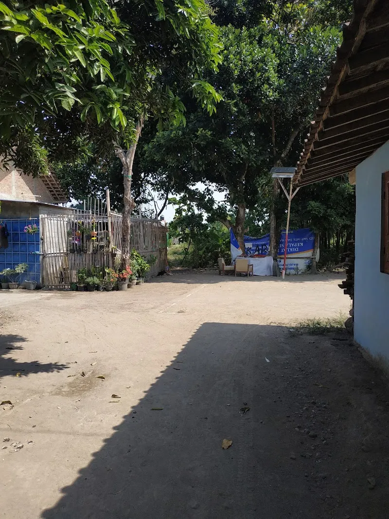 Gallery 2