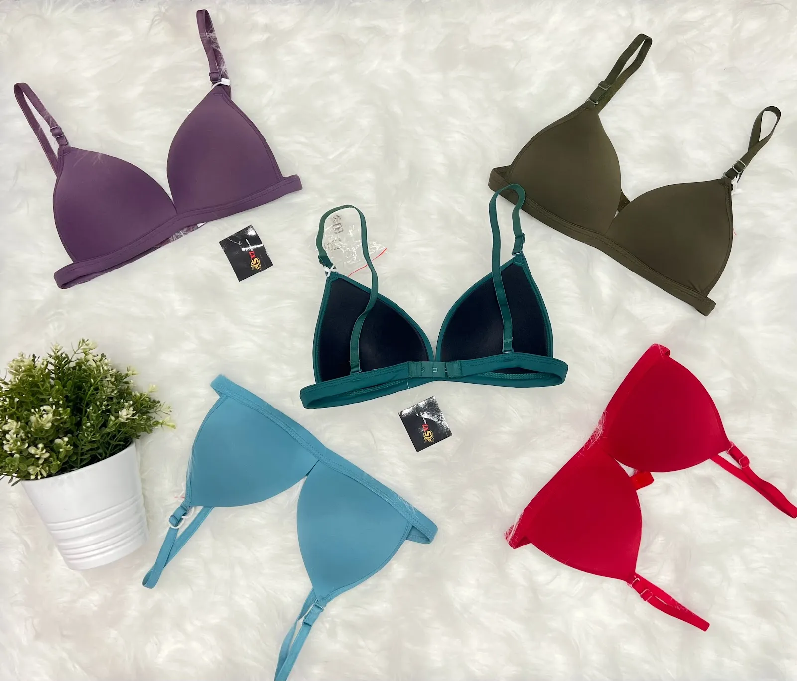 S17 Lingerie Studio - Image 3