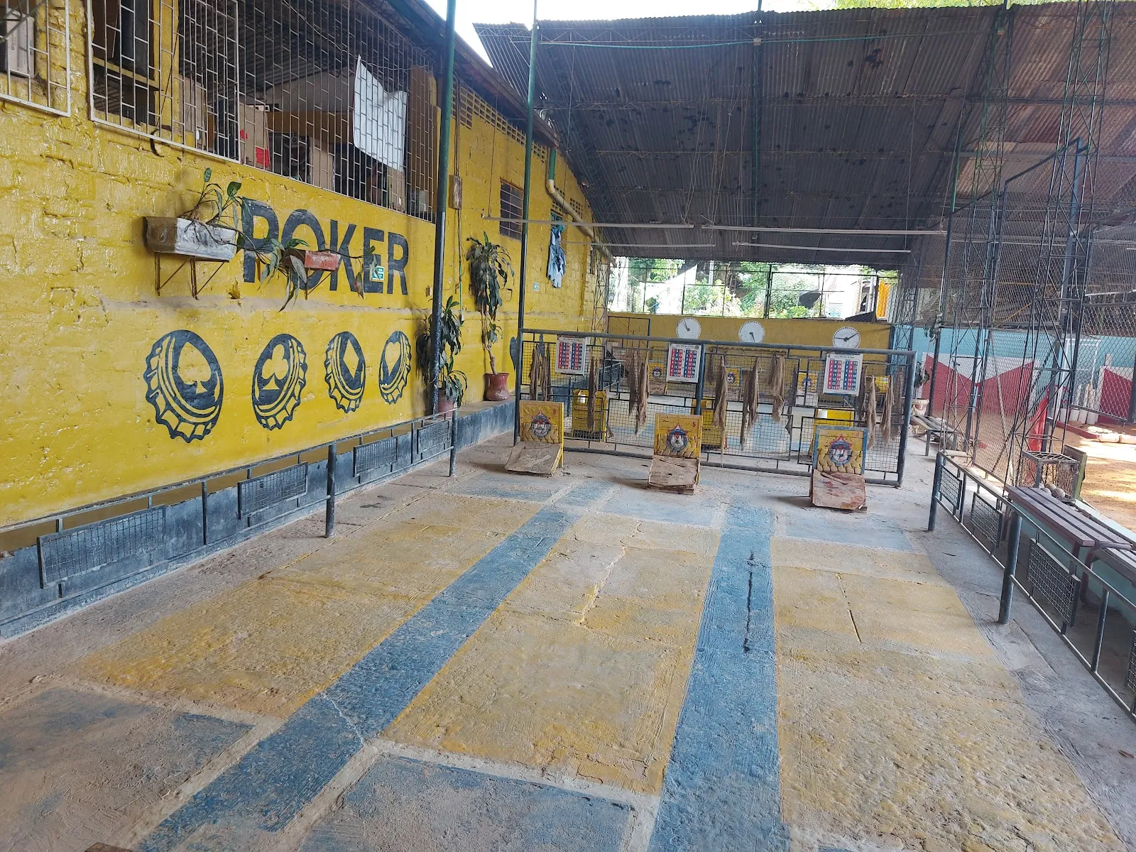 club deportivo de tejo la joya - Image 4