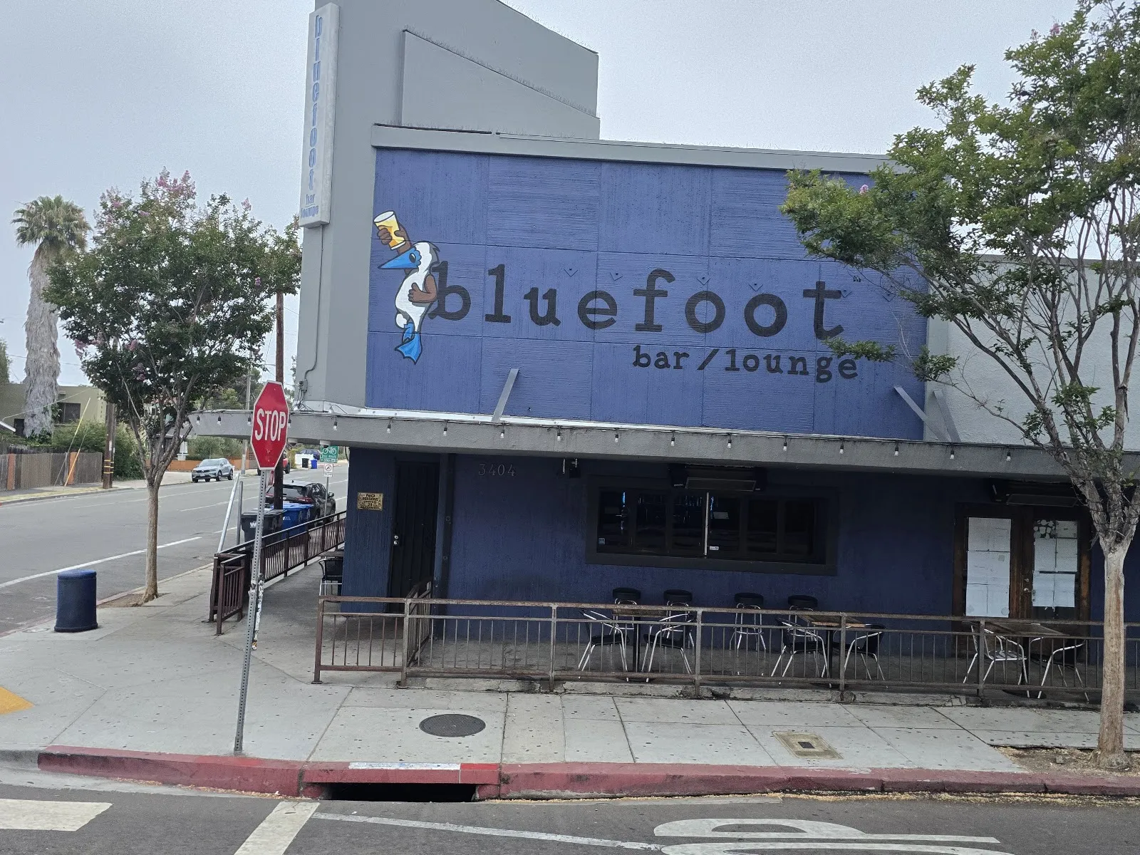Bluefoot Bar & Lounge - Image 2
