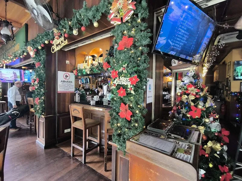 Healy Mac's Irish Bar & Restaurant • P. Ramlee logo