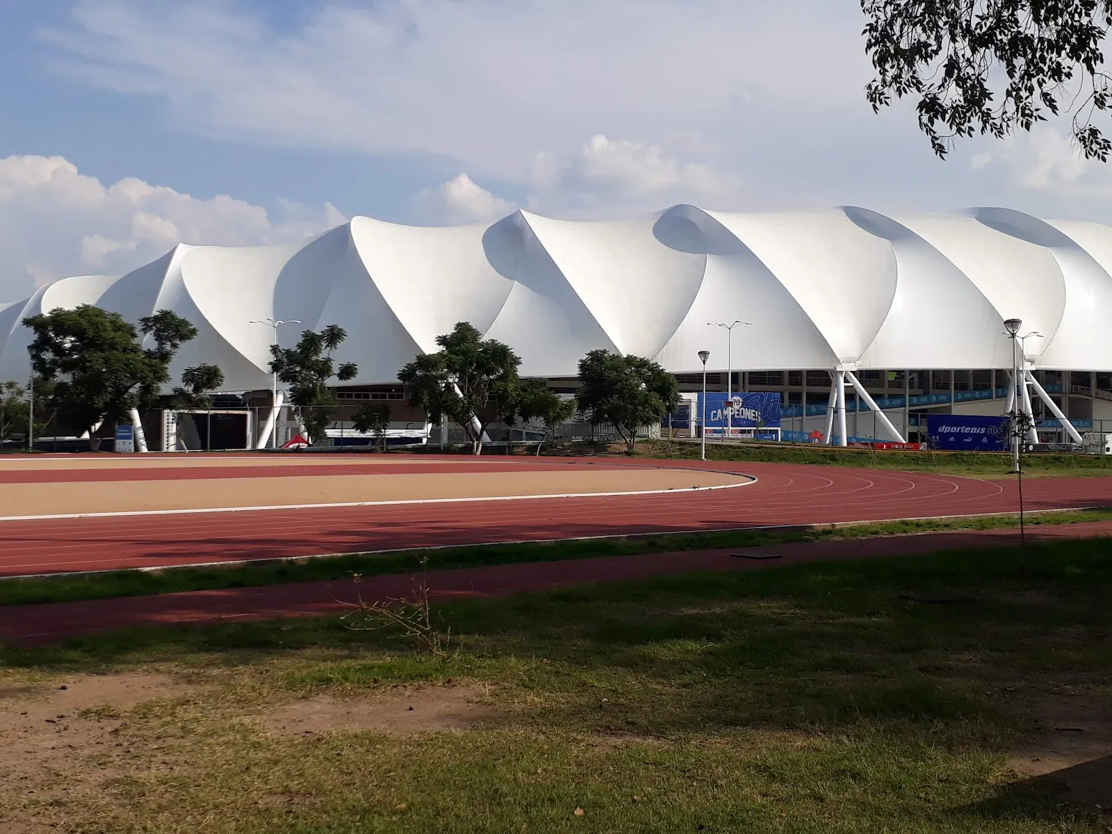 Cantinetta Beisbol - Image 2