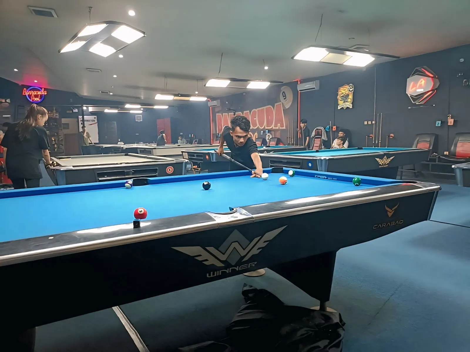 Barracuda Pool - Image 4