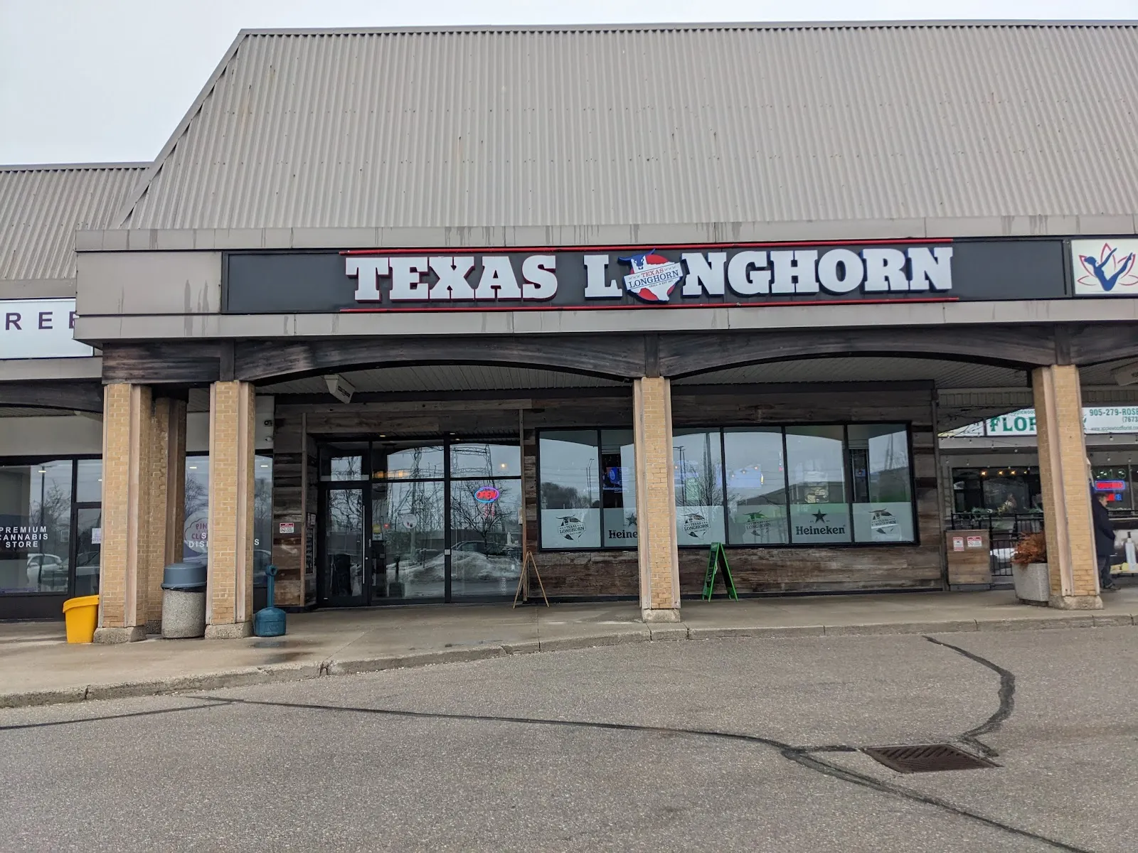 TEXAS LONGHORN - Image 3