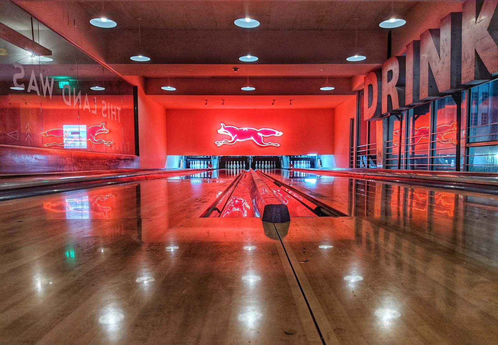 Scout Dallas - Image 3