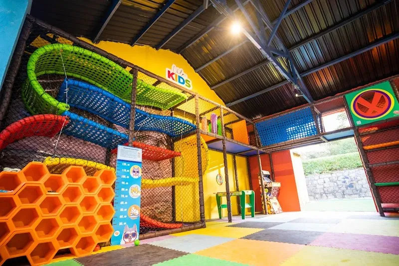 Gallery 4