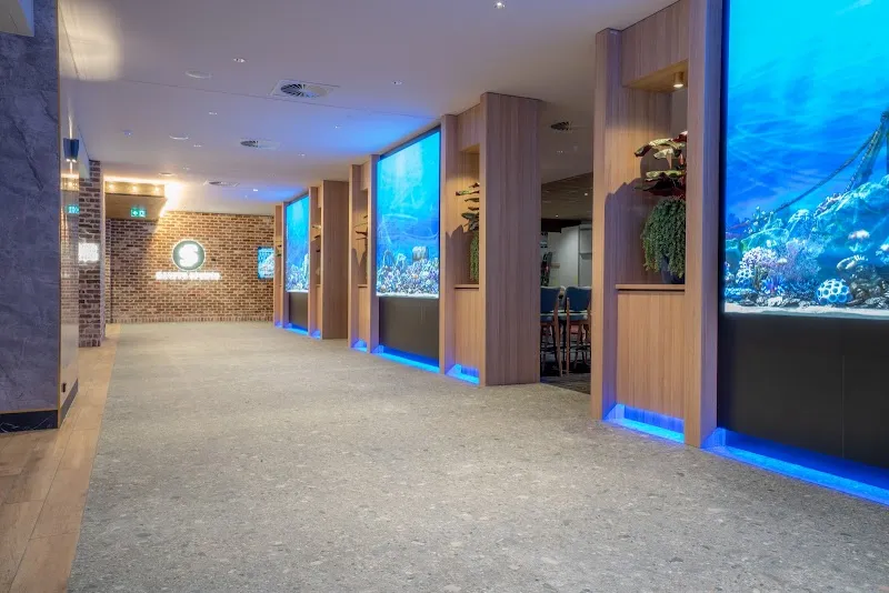 Gallery 2