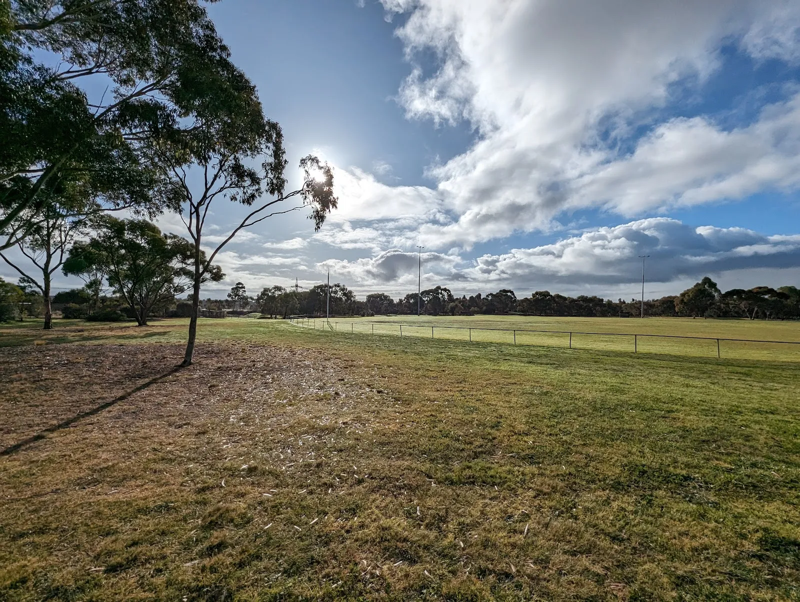 Green Gully Soccer Club - Image 4