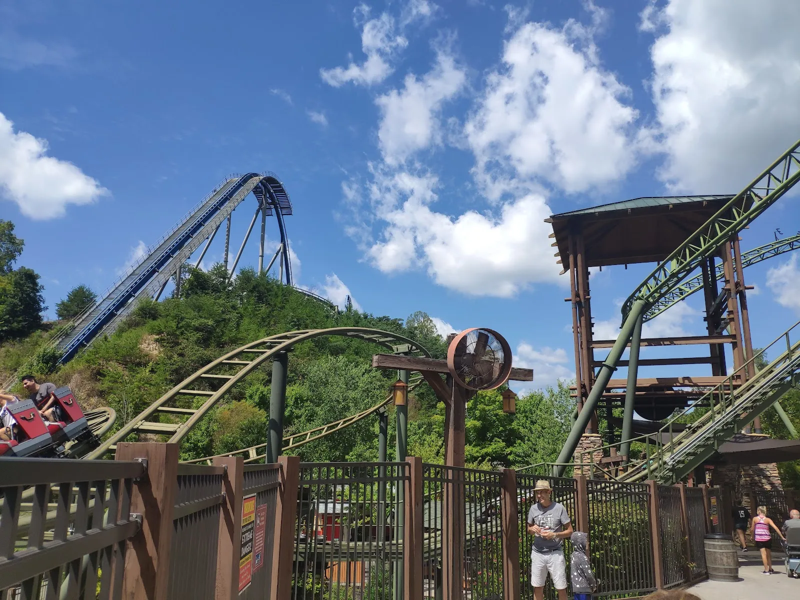 Wild Eagle - Image 2
