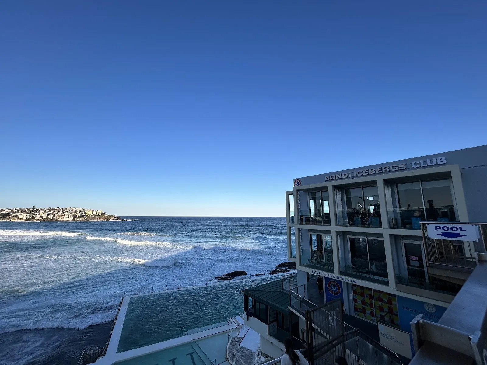 Bondi Icebergs Swimming CLUB - Image 2