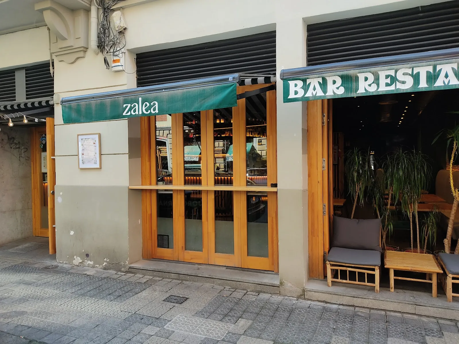 Bar Zalea - Image 2