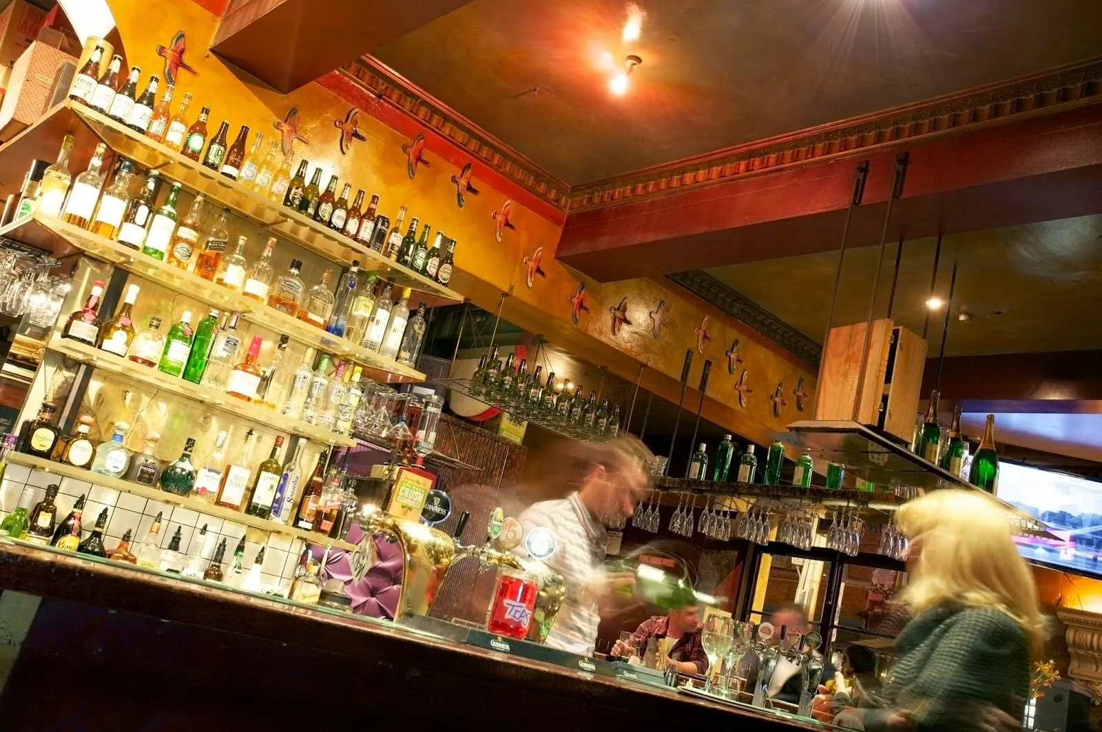 The Provincial - Image 3