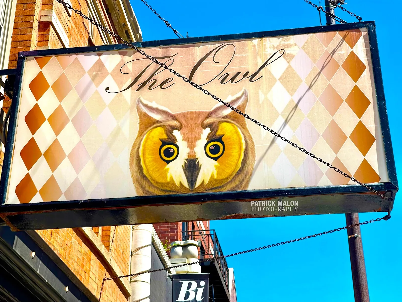 Owls Kitchen NCAA - Image 3