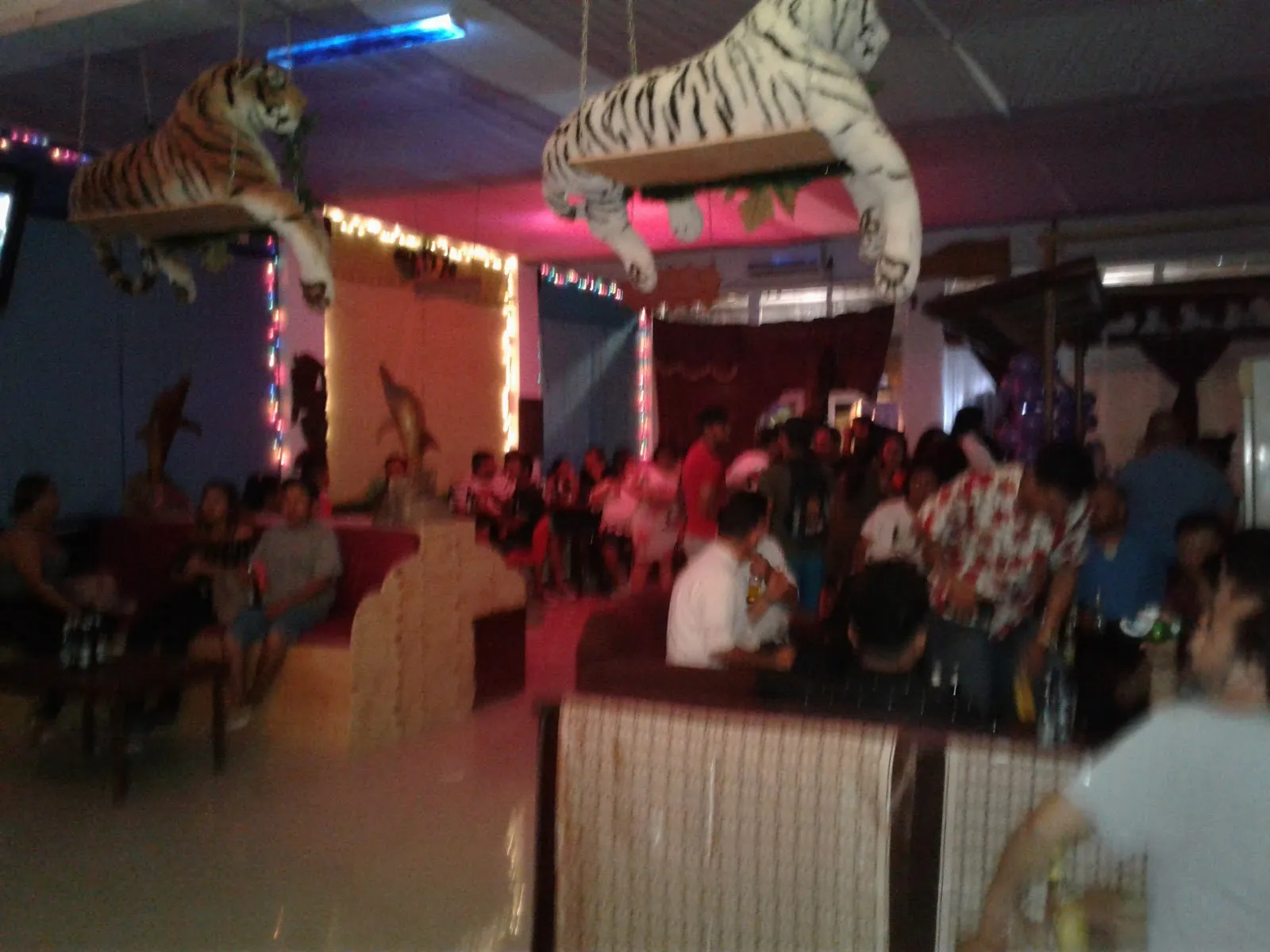Royal Caribbean Sports Bar Karaoke lounge - Image 4