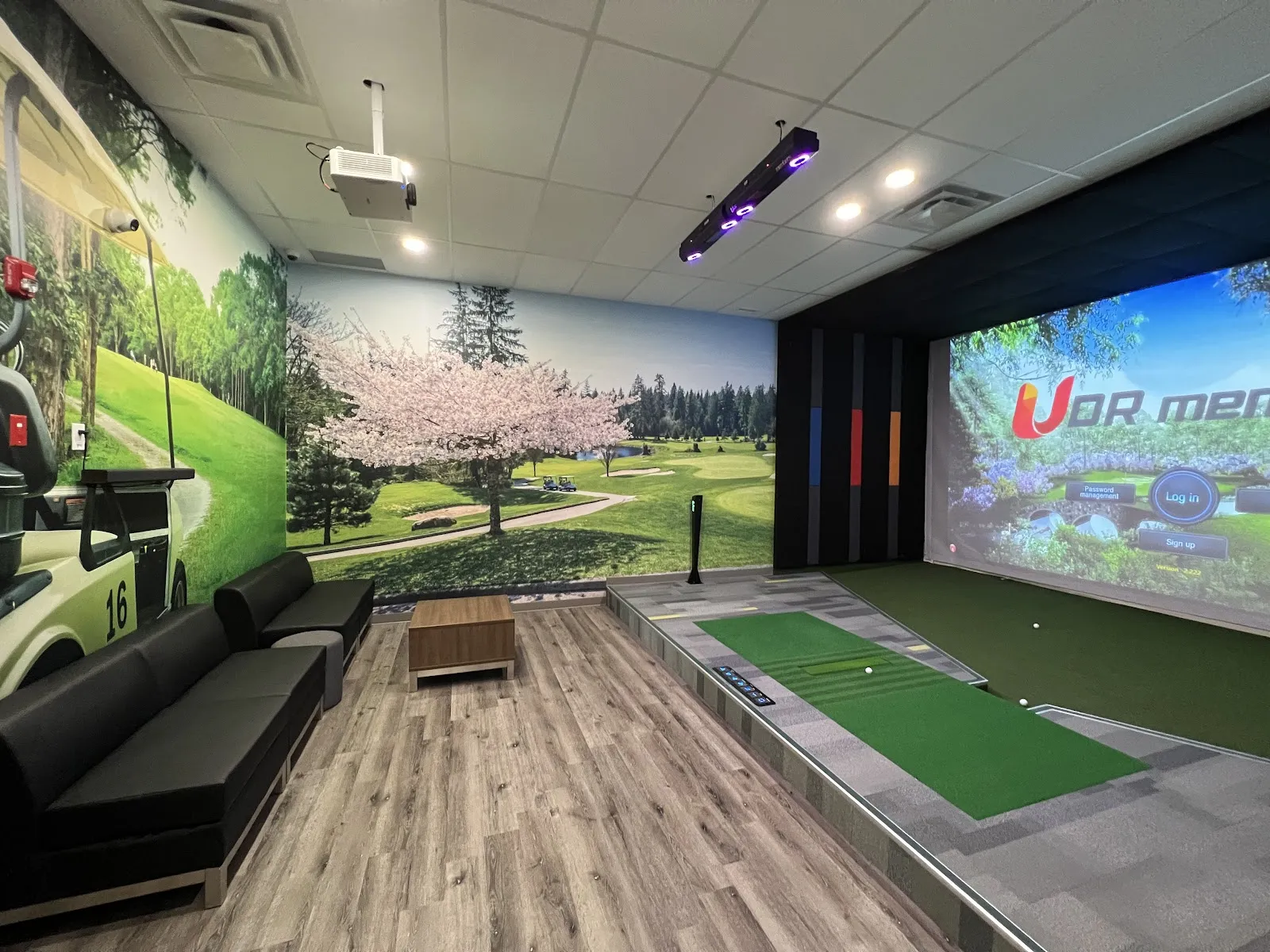 Virtual Tee Up Indoor Golf - Image 2
