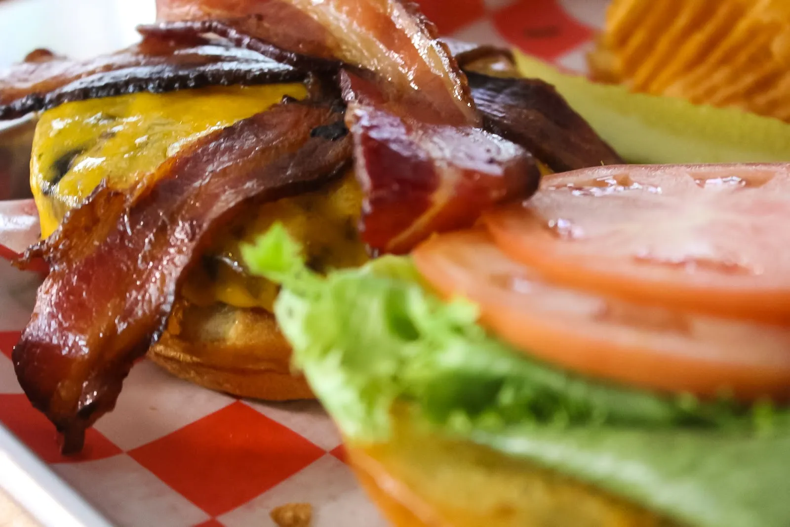 Pig and Parrot - Image 3