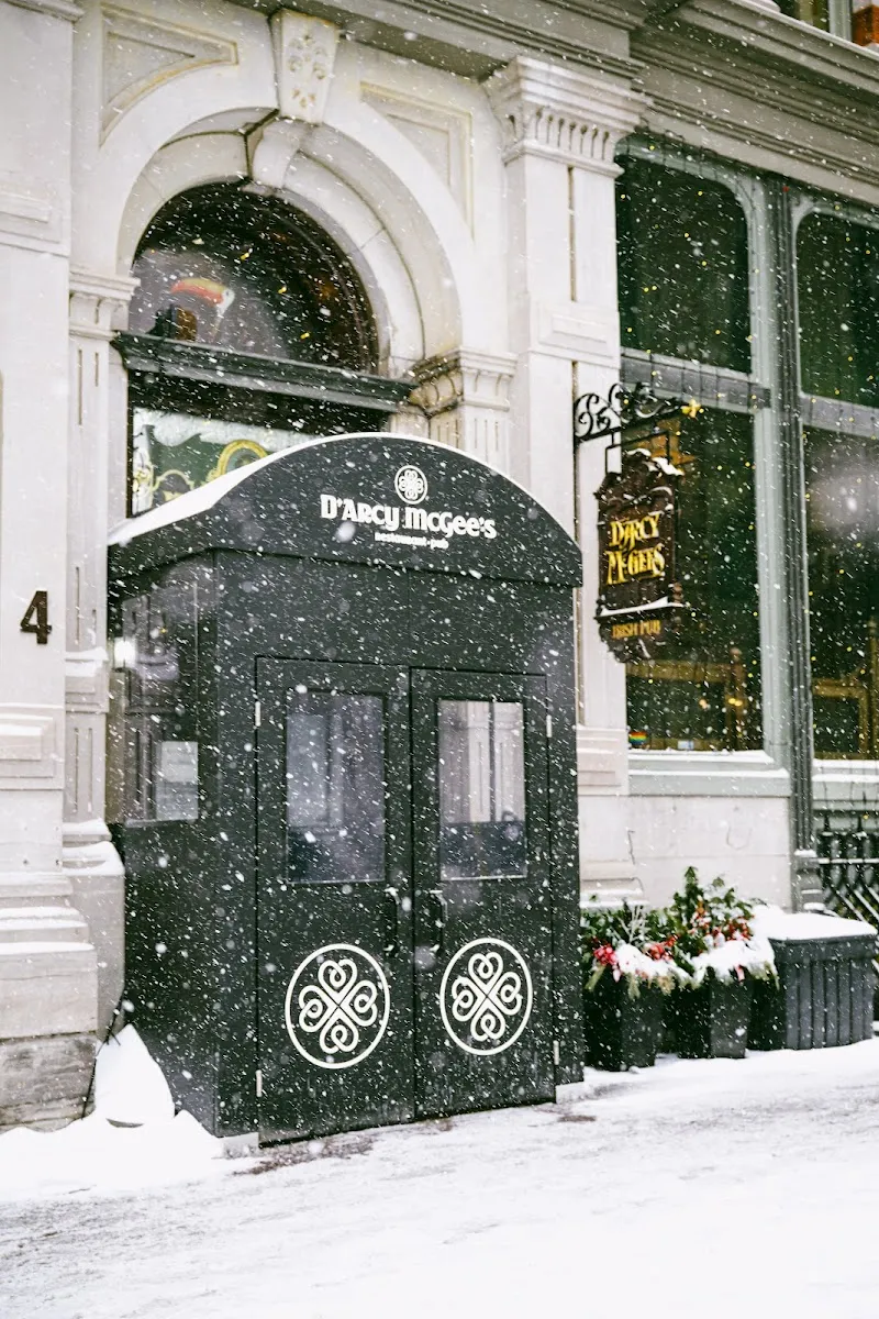 D'Arcy McGee's Irish Pub logo