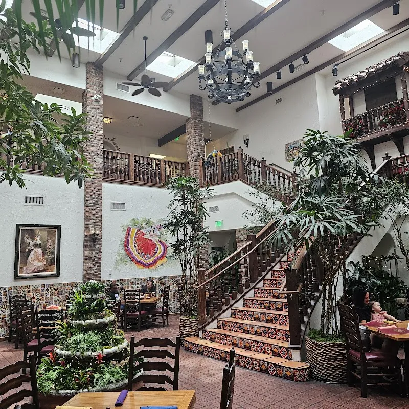 Gallery 4