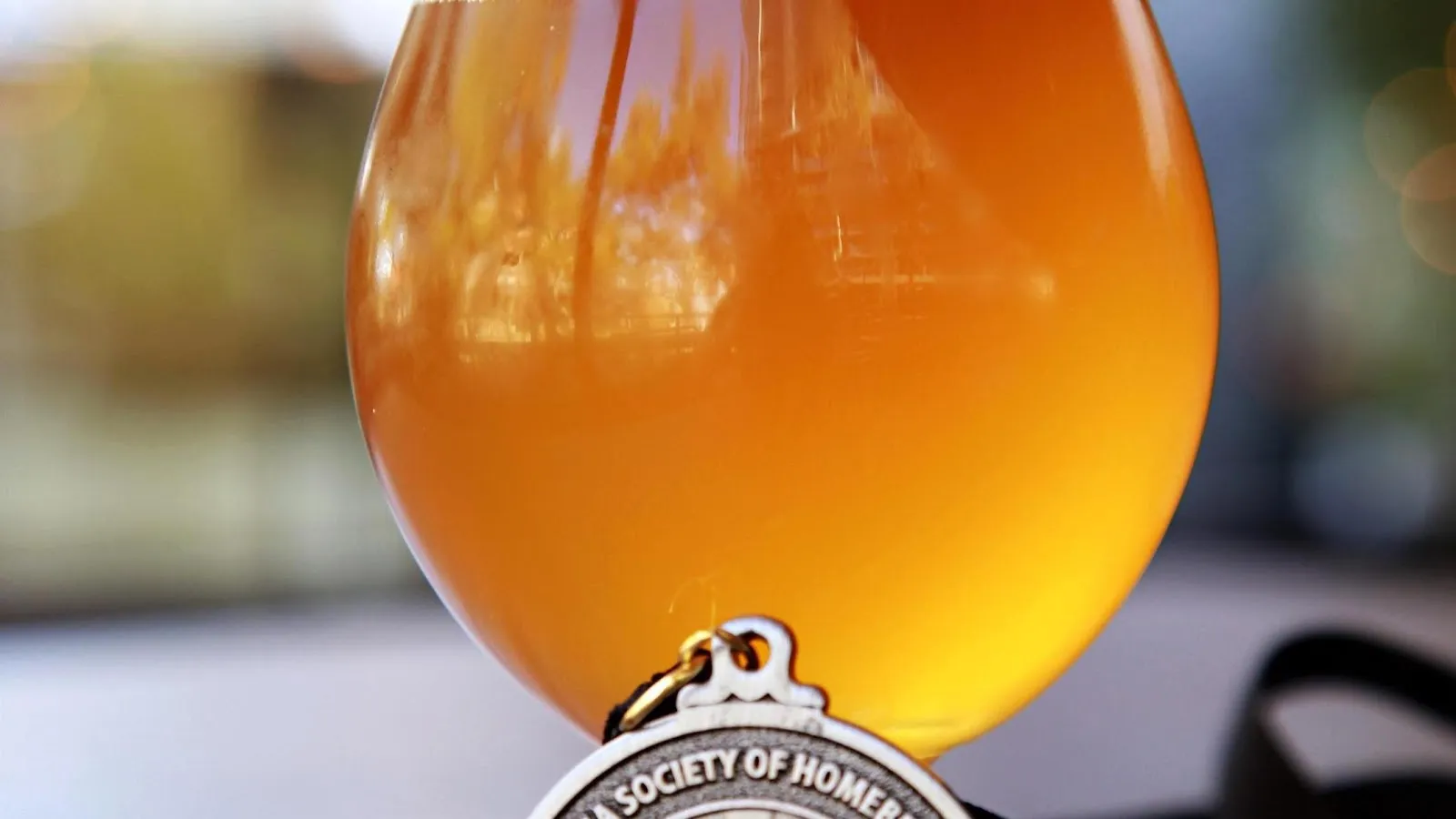 Pedal Haus Brewery - Image 4