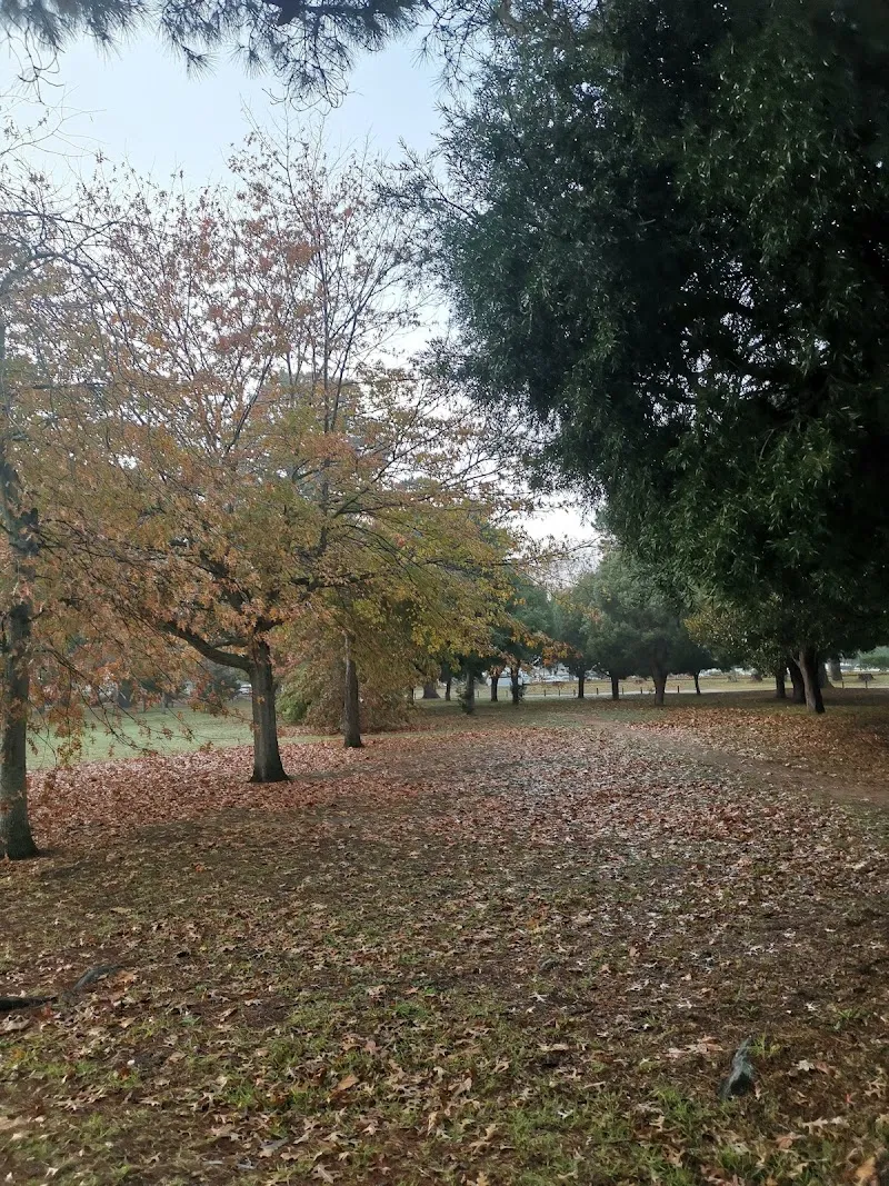 Gallery 3