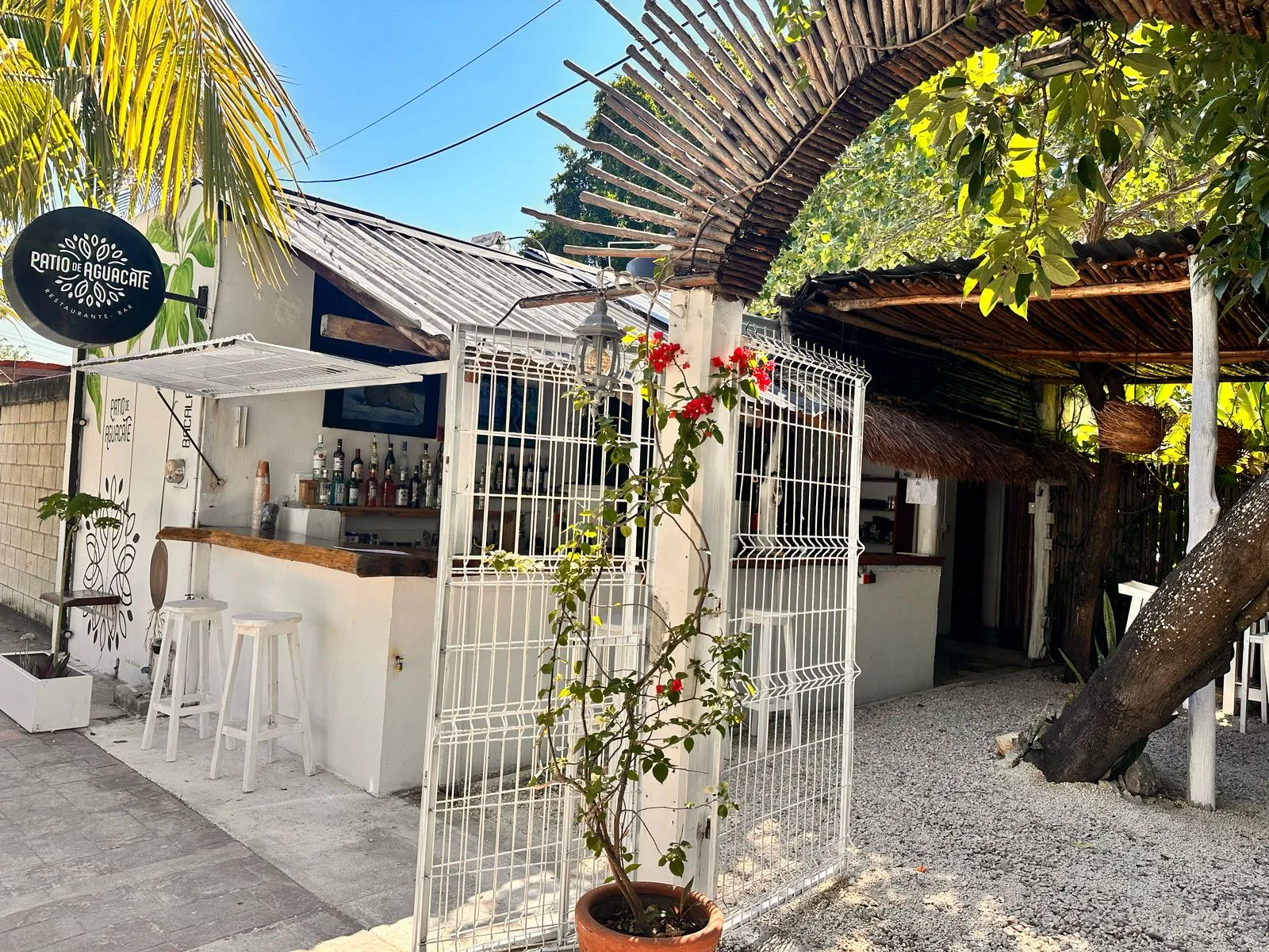 Patio de Aguacate Bacalar - Image 4