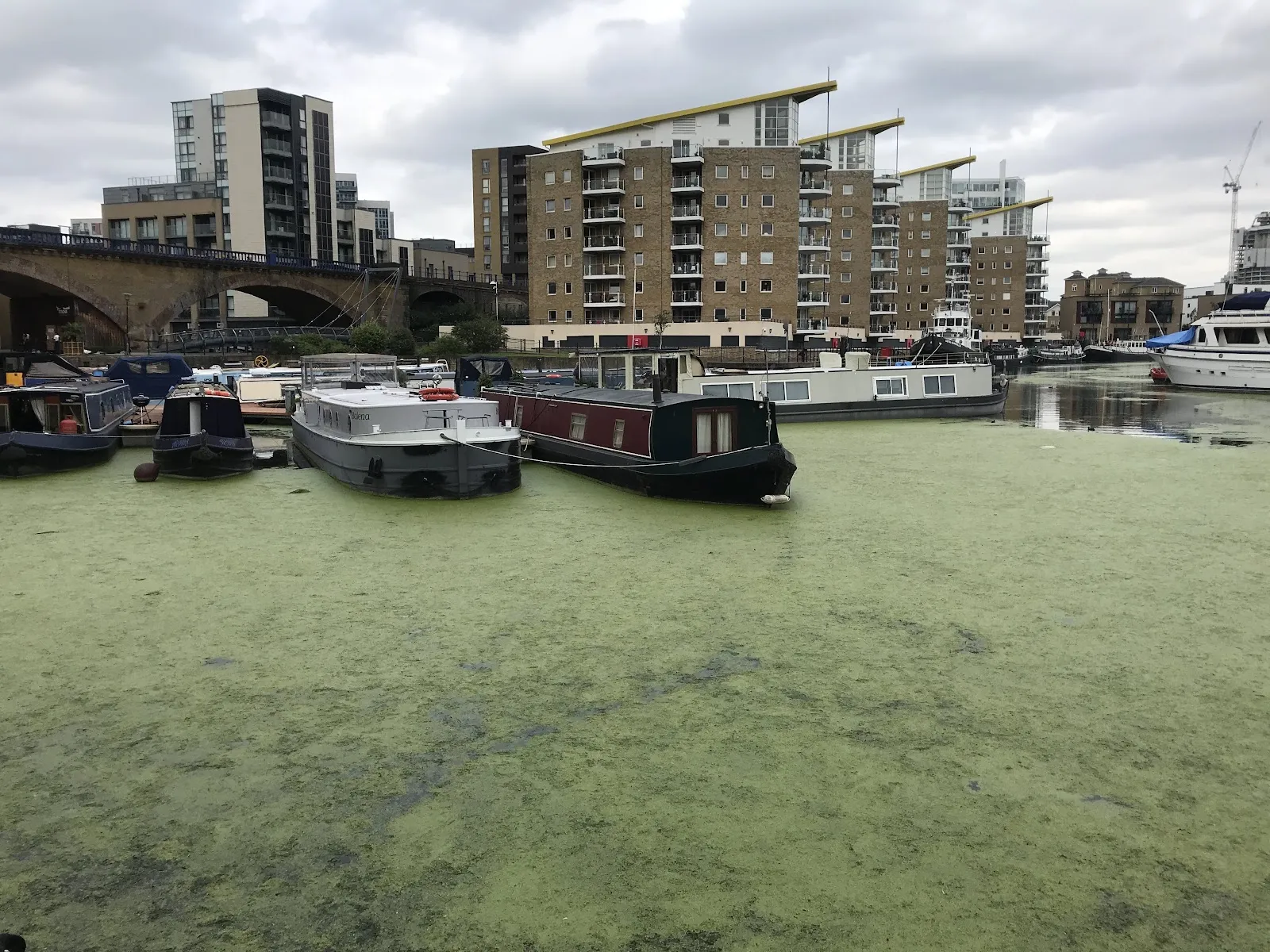 Area 51 Limehouse - Image 3