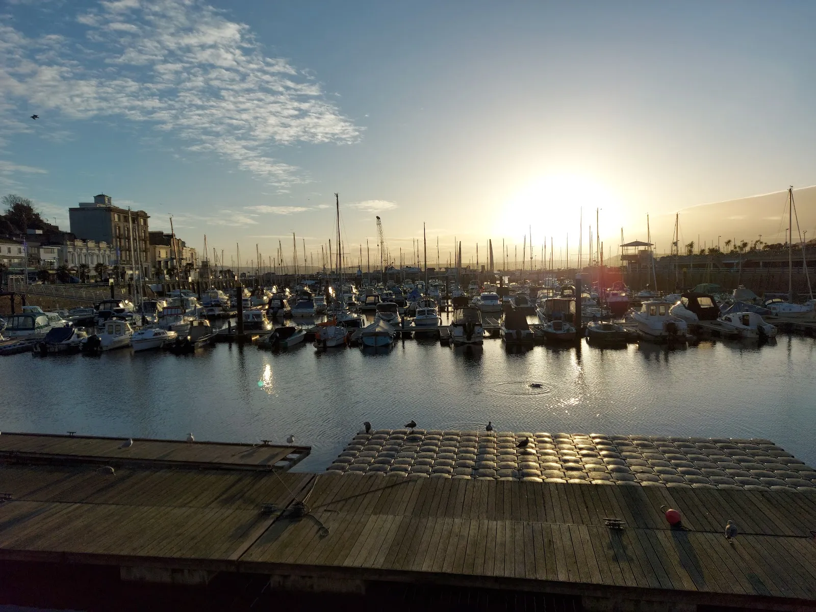 Yates - Torquay