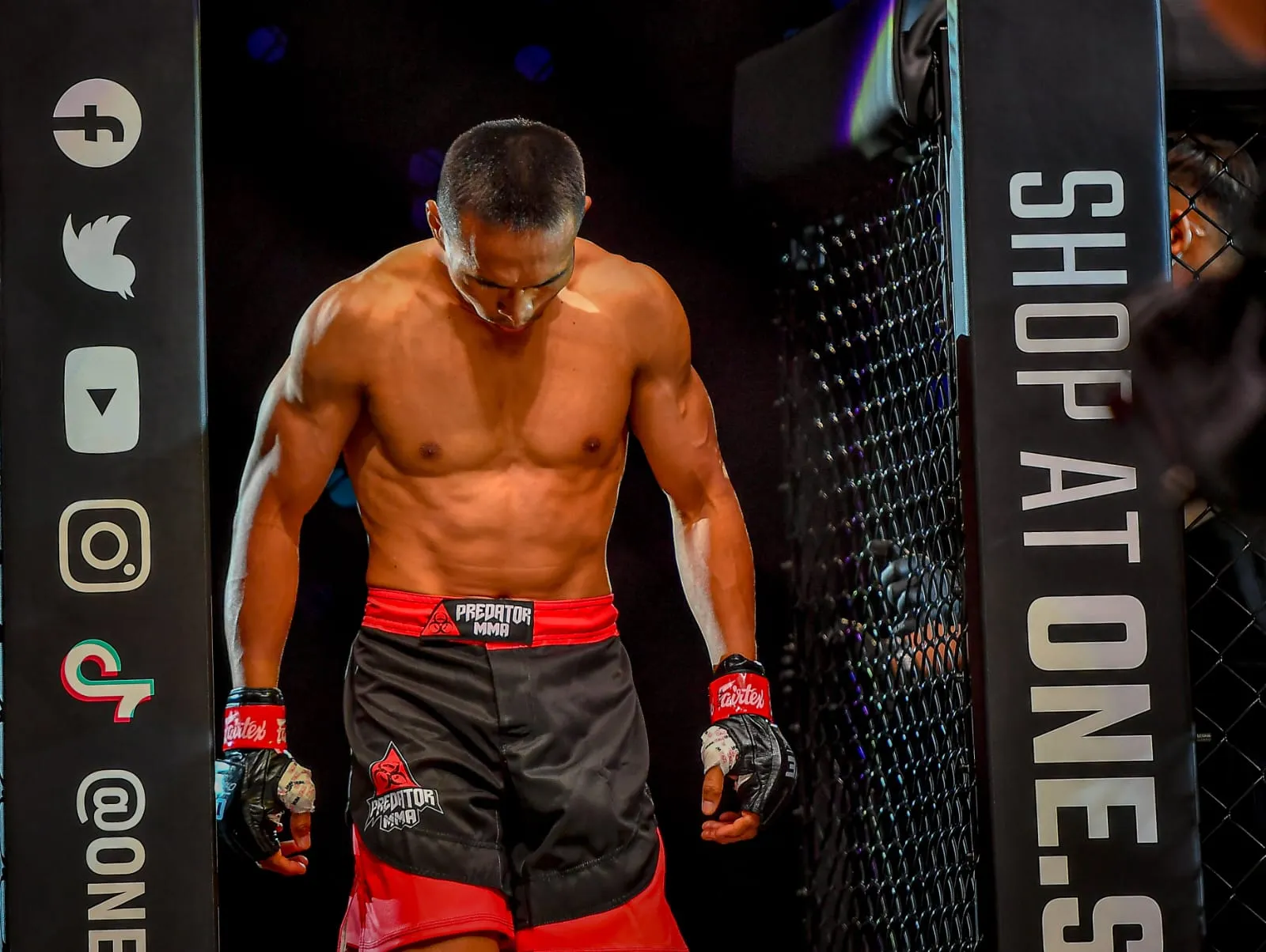 PREDATOR MMA - Image 2