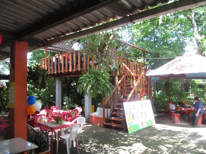 Gallery 2