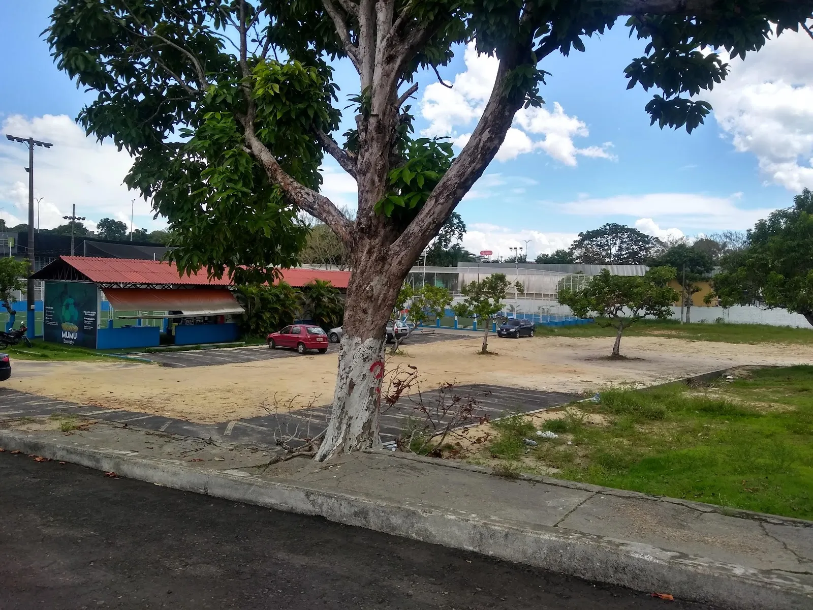 Arena Mumu Society - Image 4