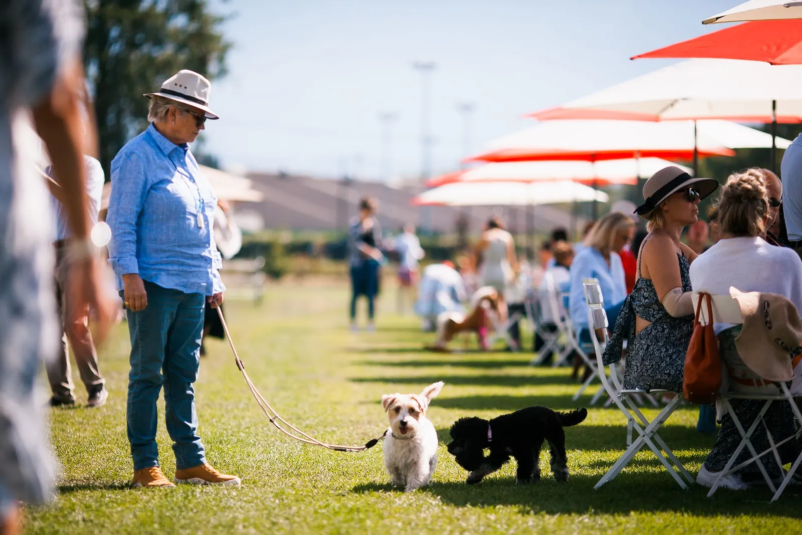 Geneva Polo Club - Image 3