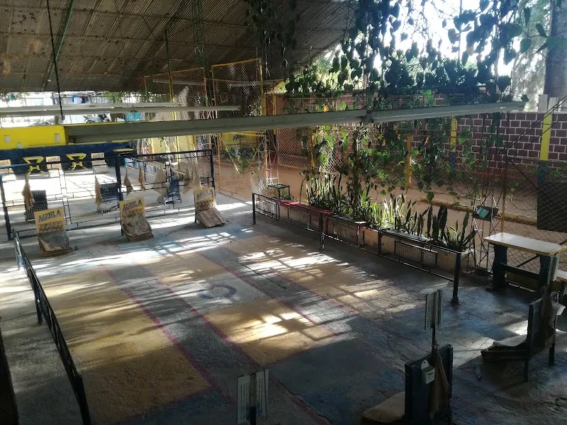 Gallery 4