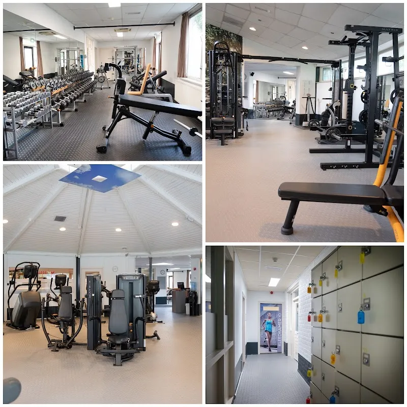 Gallery 2