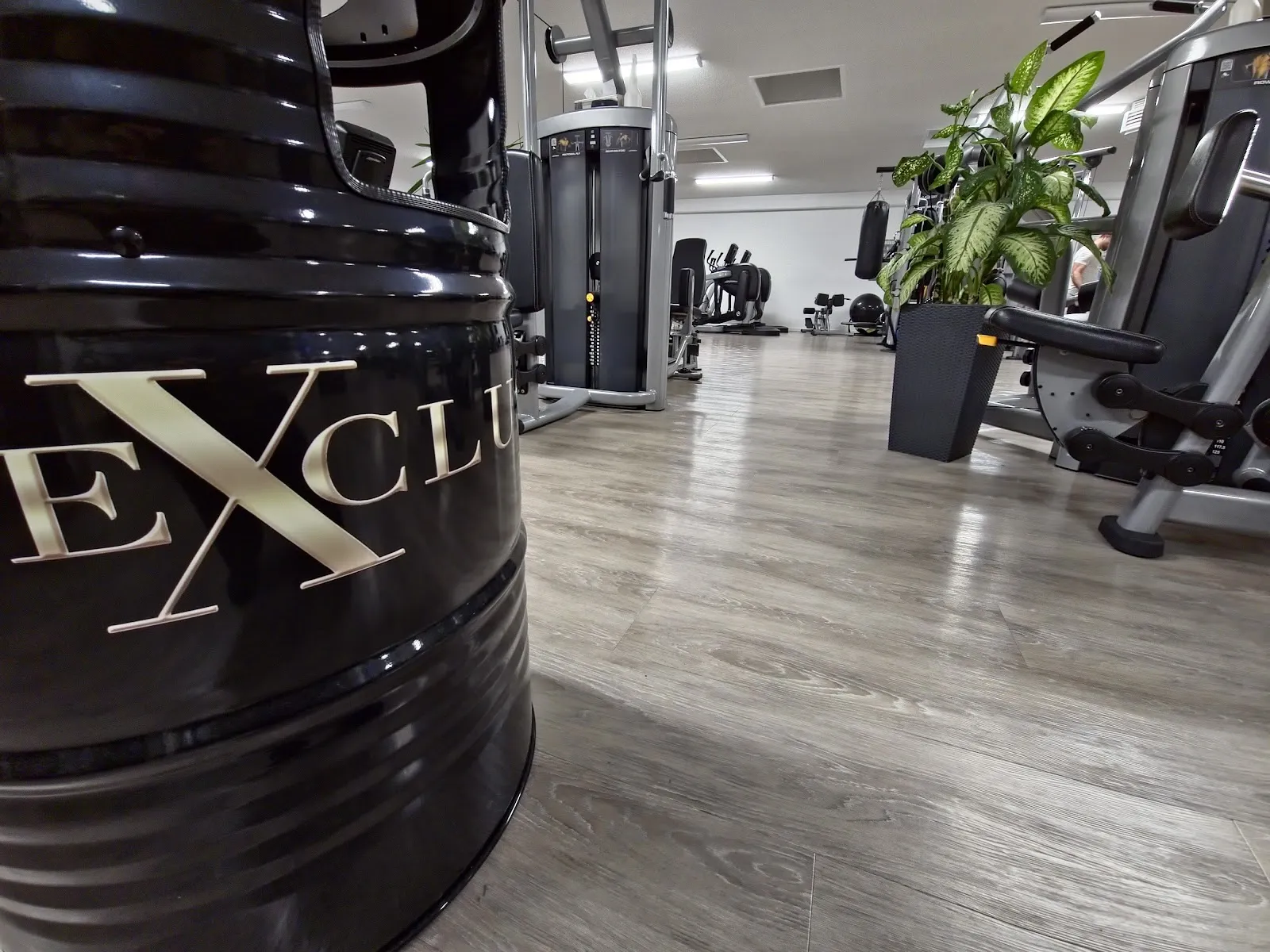 EXCLUSIV FIT - Image 3