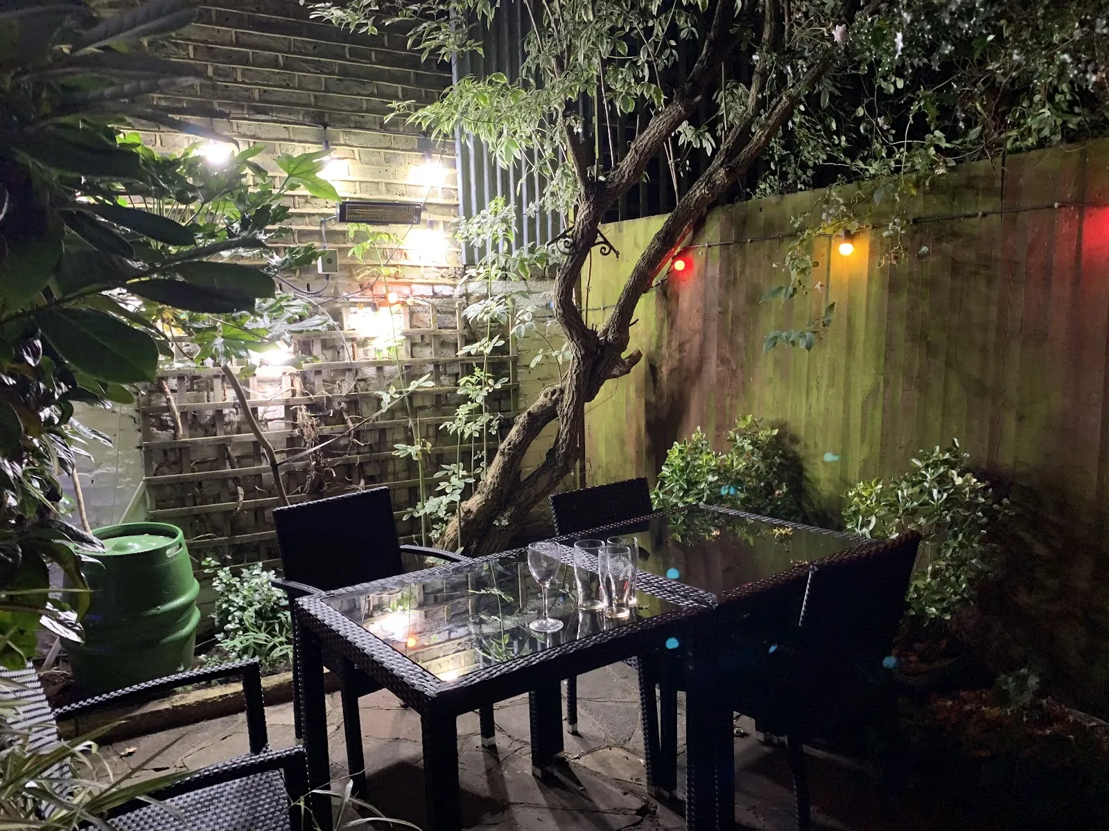 The Dog & Duck - Image 4