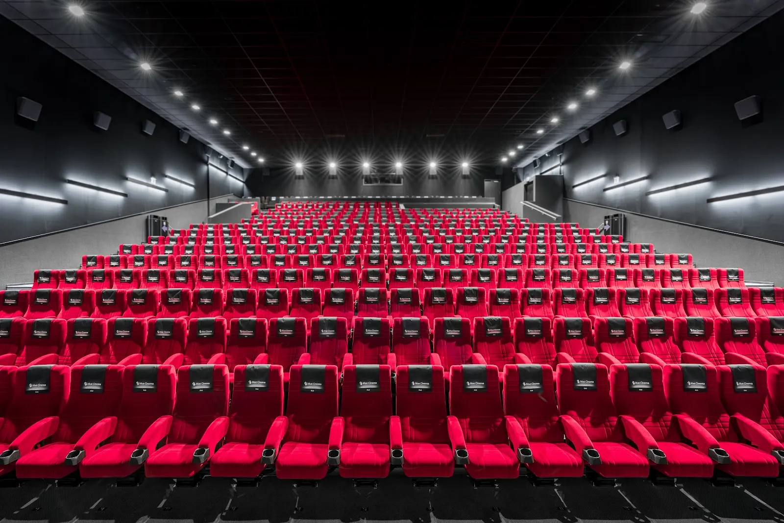 blue Cinema Maxx Winterthur | Kino und Bowling logo