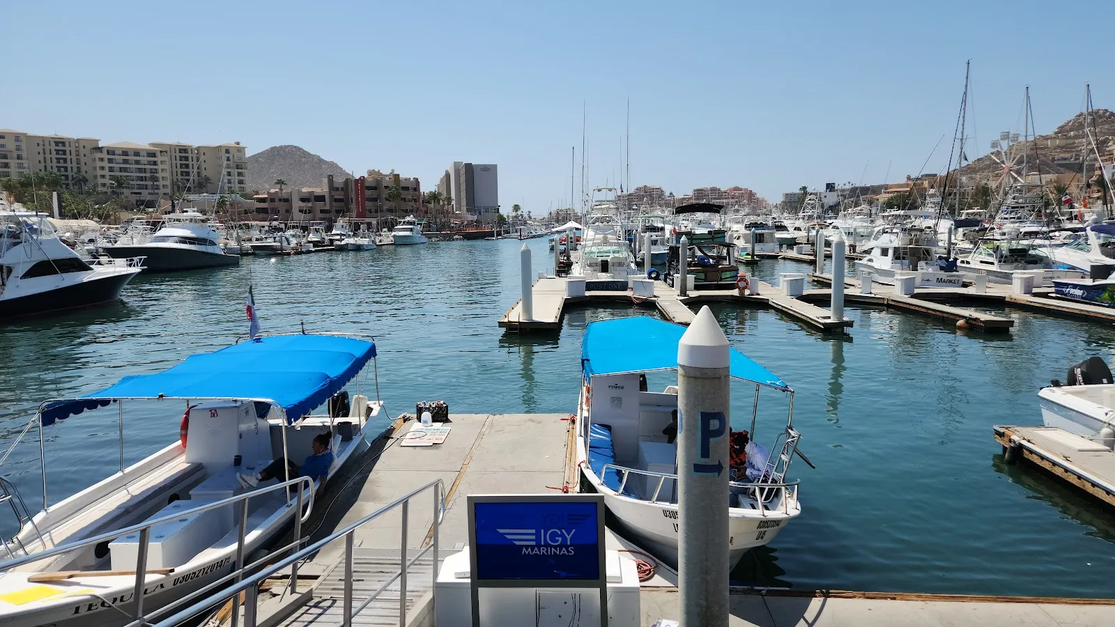 Vibrant Cabo San Lucas Marina Restaurant