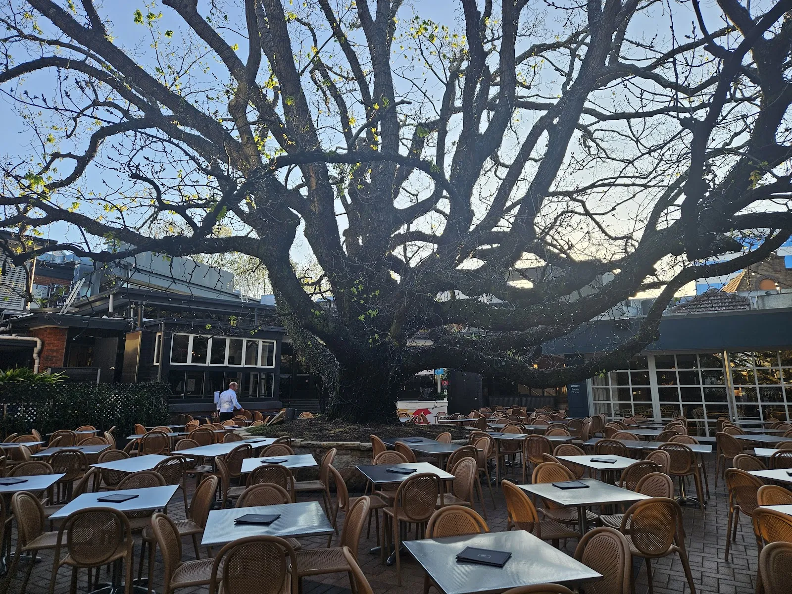 The Oaks - Image 3