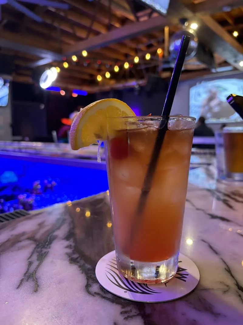 Gallery 3