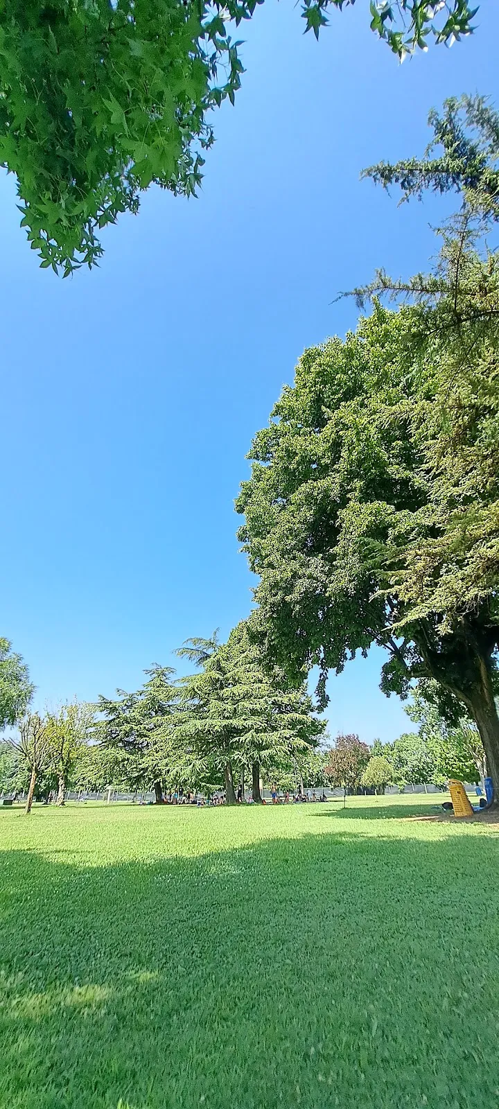 Gallery 4