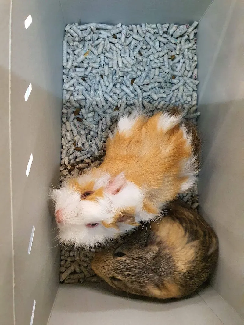Gallery 3