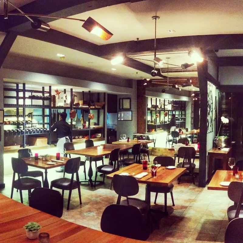 The Goose Station logo