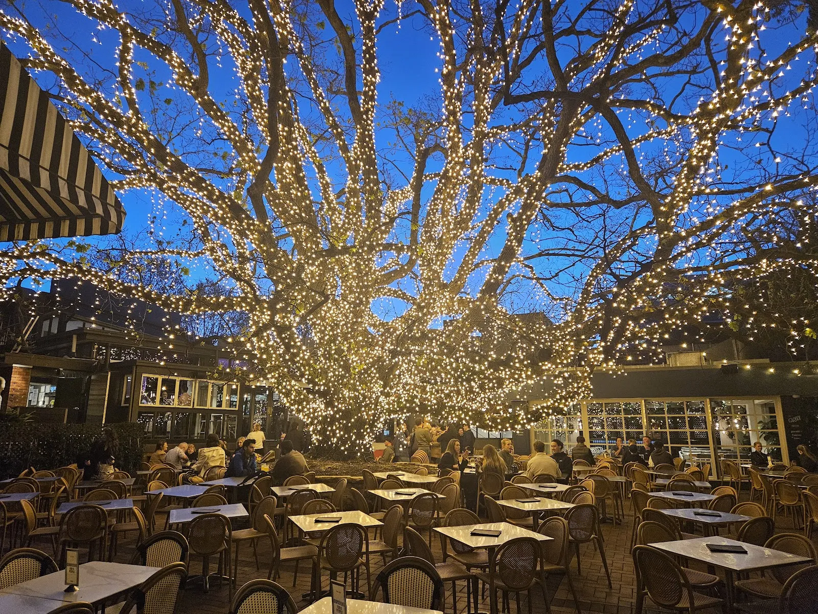 The Oaks - Image 4