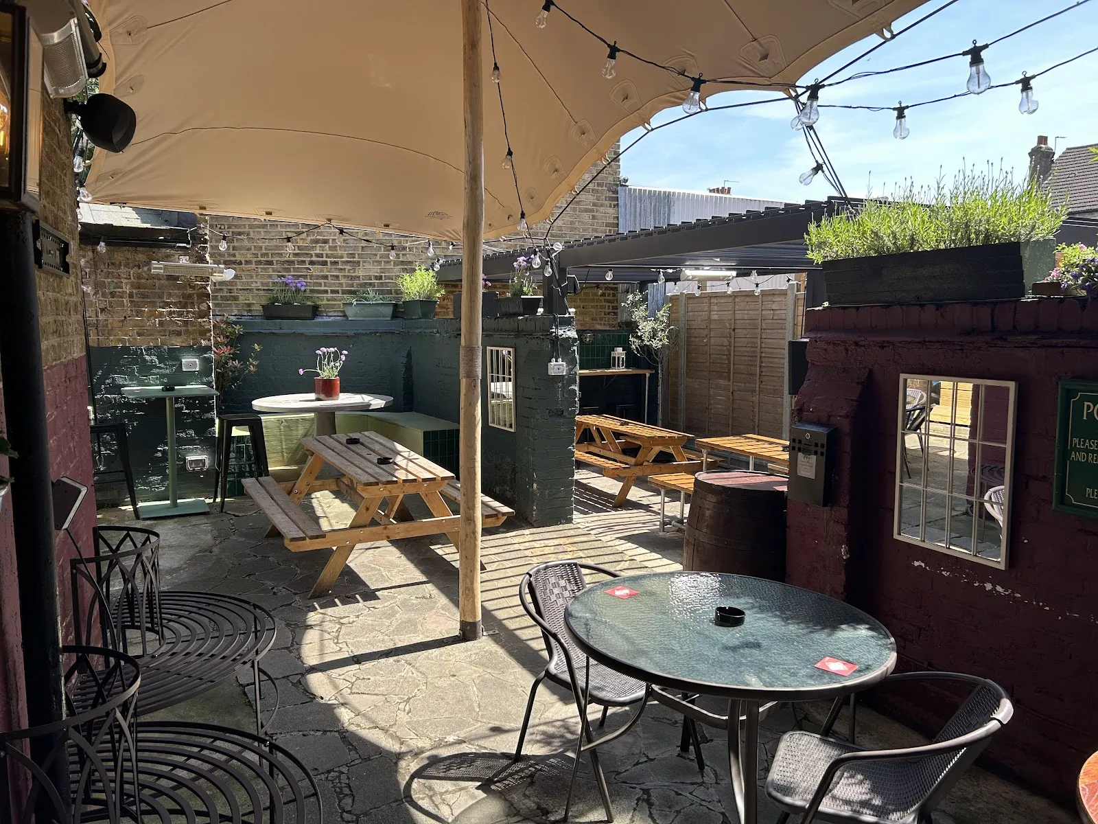 The Dog & Duck - Image 2