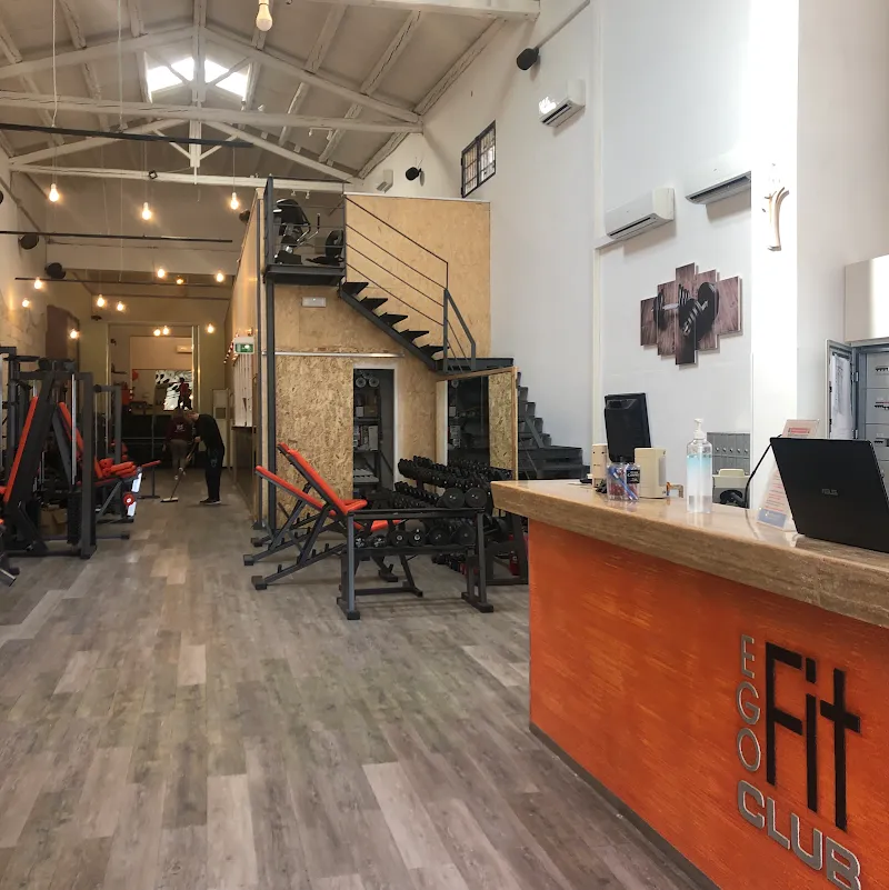 Gallery 3