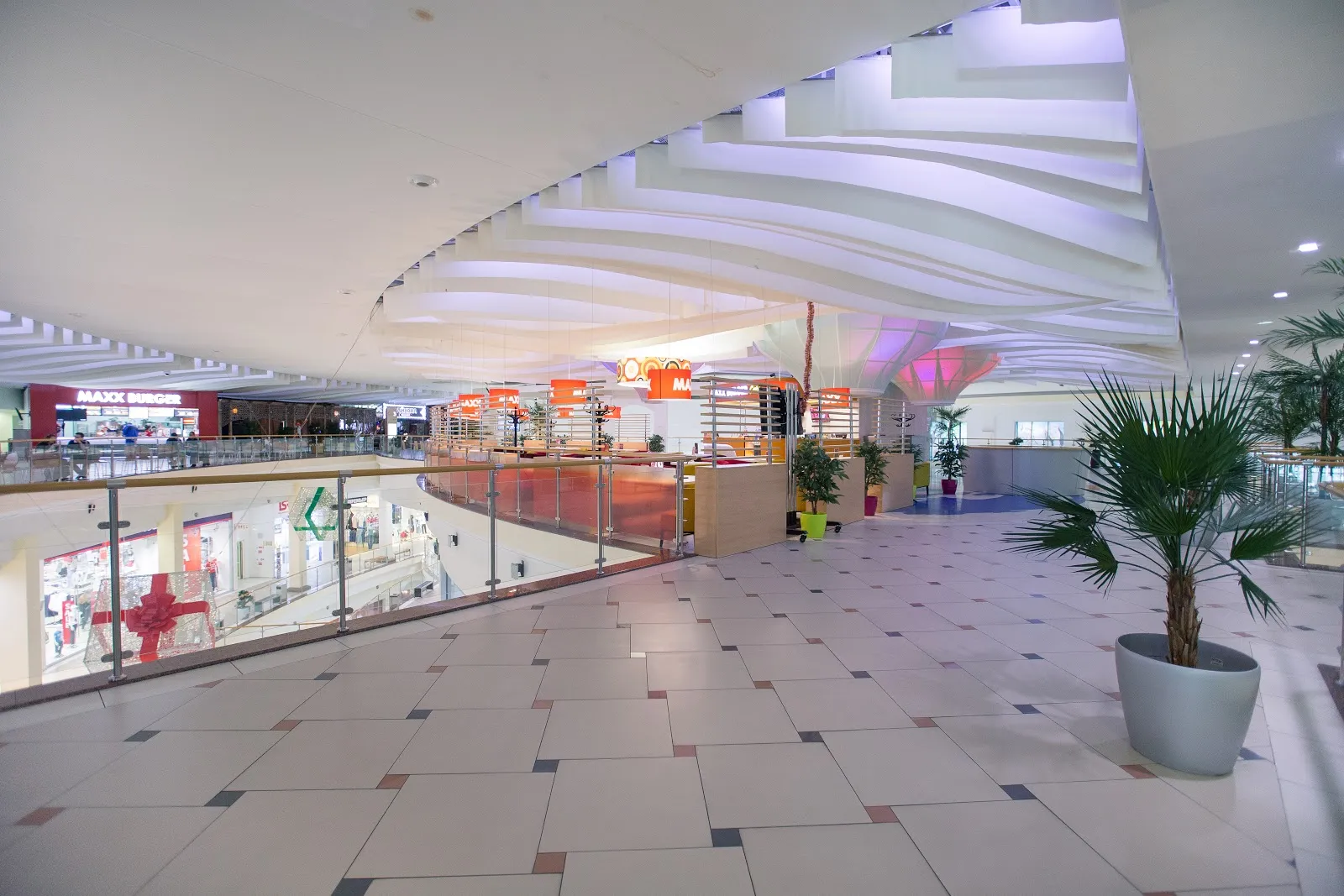 Arena-Sport - Image 3