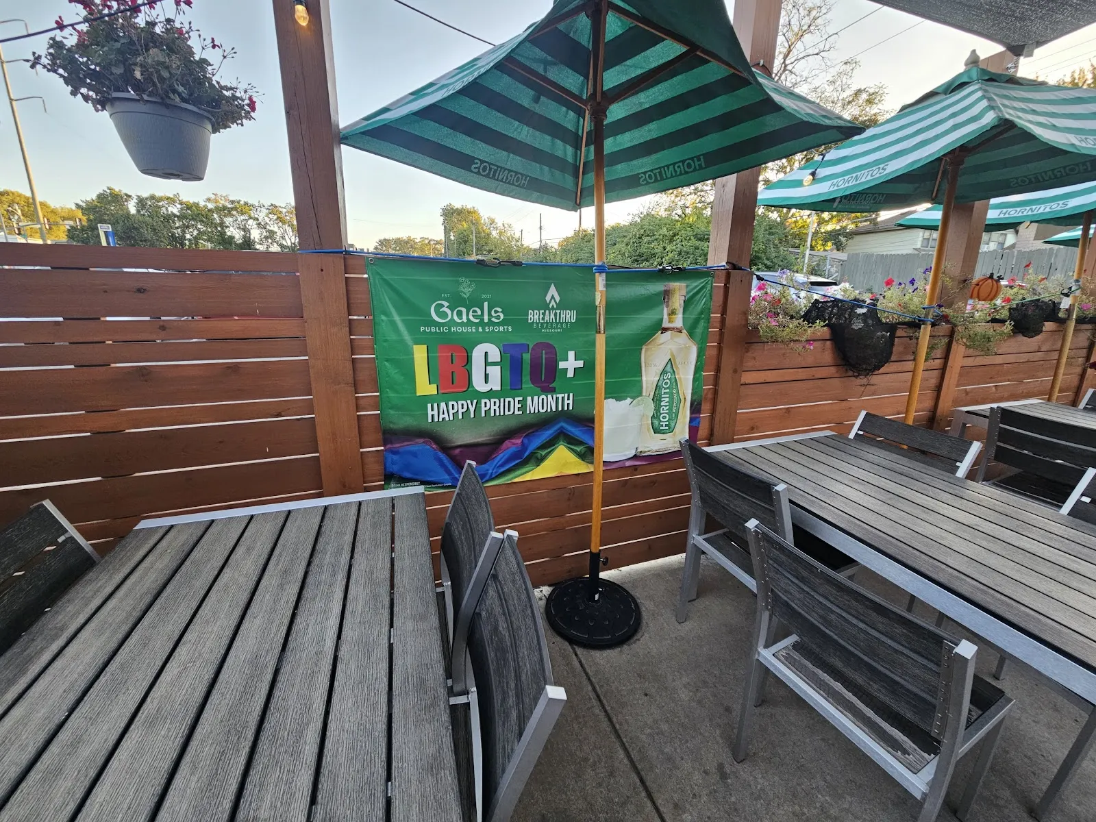 Gaels Public House & Sports - Image 3